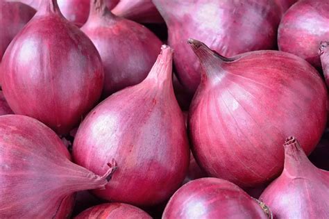 India Lifts Ban On Onion Exports To Sri Lanka