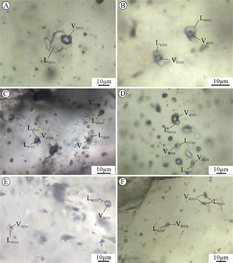 Photomicrographs Of Fluid Inclusions In Mineralized Quartz A E And