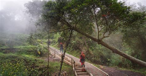 Info Lokasi Harga Tiket Masuk Kawah Kamojang Garut