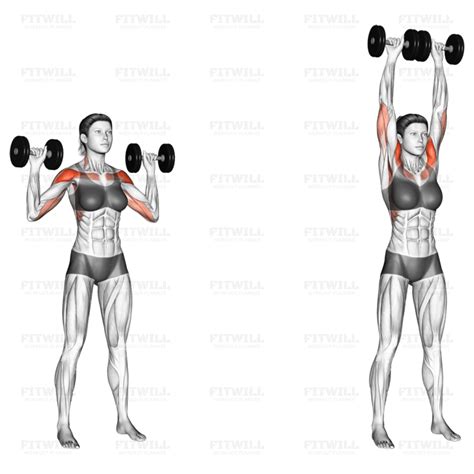 Dumbbell Standing Overhead Press Exercise Guide Video Techniques Benefits How To Muscles