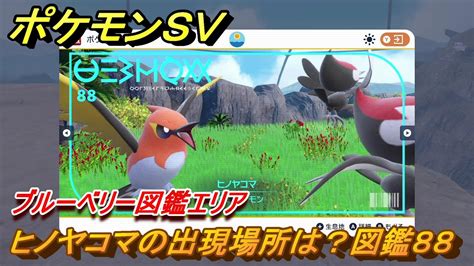 ポケモンsv ヒノヤコマの出現場所は？図鑑88 ブルーベリー図鑑エリア ＃82 【dlcゼロの秘宝 碧の仮面・藍の円盤】 Youtube