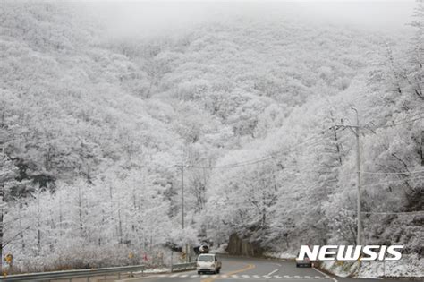 강원 6개 시·군 산간에 대설주의보 발령 네이트 뉴스