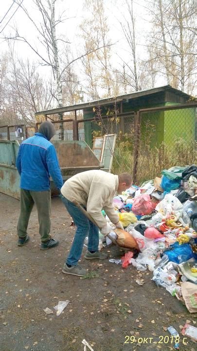Оборудование площадки для сбора мусора