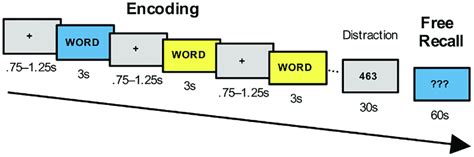 Experimental Design In A Free Recall Memory Task Contexts Were