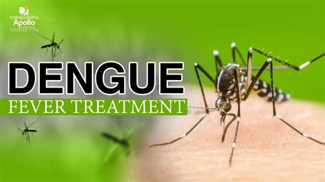 Dengue Fever Treatment Dr Jatin Ahuja Apollo Hospital Dengue Fever Treatment Apollo