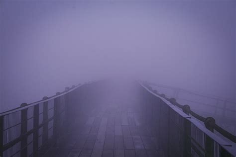 Neblinoso Puente Niebla Foto Gratis En Pixabay Pixabay