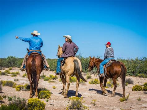 Luna County Living Bliss | Deming, NM | Luna County