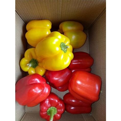 A Grade Fresh Color Capsicum Pan India Packaging Size Kg At Rs