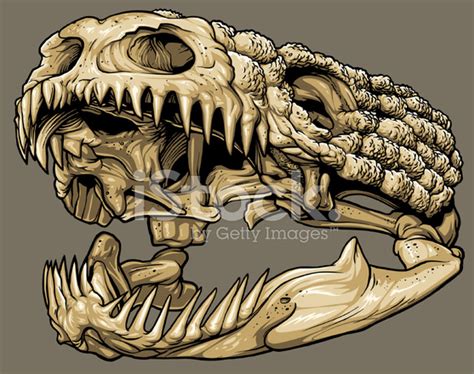 Vector Gila Monster Skull Stock Photo | Royalty-Free | FreeImages