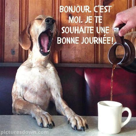 Humour bon mardi image café picturesdown