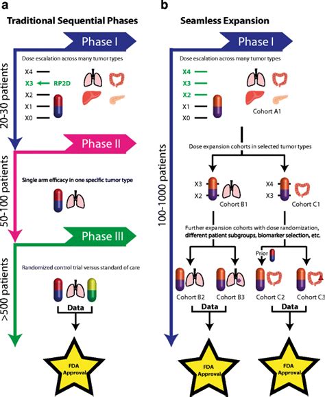 Traditional Sequential Phase Versus Seamless Expansion Trial Design A