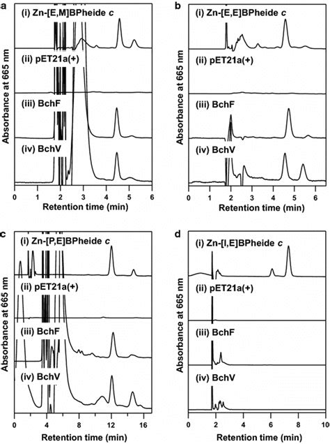 Hplc Elution Profiles Of The Reaction Of Zn V Bpheide C Homologs