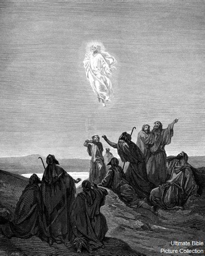 Acts 1 Bible Pictures The Ascension Of Jesus