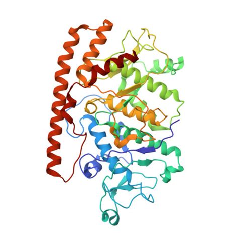 Rcsb Pdb Ztz Assembly Intermediates Of Orthoreovirus Captured In