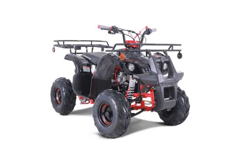 Tao Tao D125 Childrens Atv 4 Stroke 125cc Bdx Performance