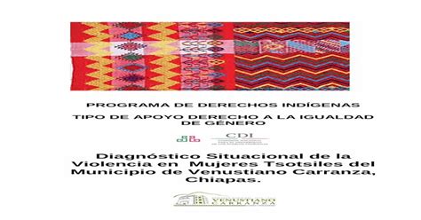 Pdf Programa De Derechos IndÍgenas Tipo De …mujeres Gob Mx