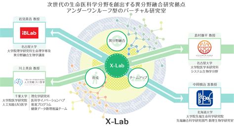 Iblab 名古屋大学 大学院理学研究科理学専攻 異分野融合生物学研究室