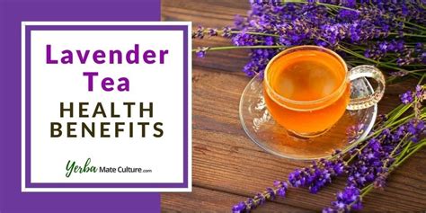 Lavender Tea Benefits, Side Effects, and How to Make It