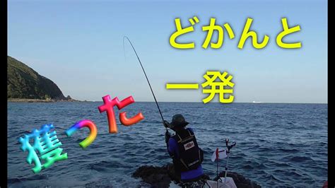 【釣り】和歌山地磯にて三投目で奇跡が・・・ Youtube