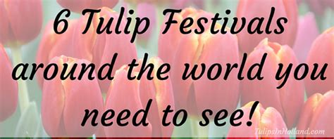 6 Tulip Festivals Around The World You Need To See Tulips In Holland