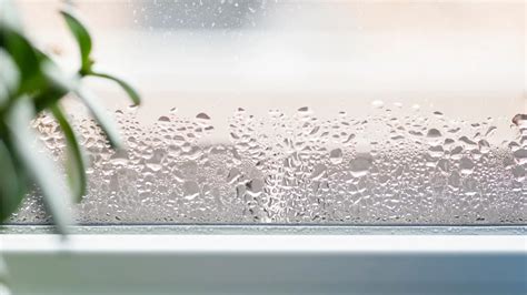 5 Easy Ways To Reduce Humidity At Home Ice Blast