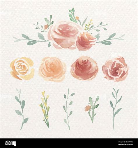 Watercolor Flower Elements Vector Collection Stock Vector Image And Art