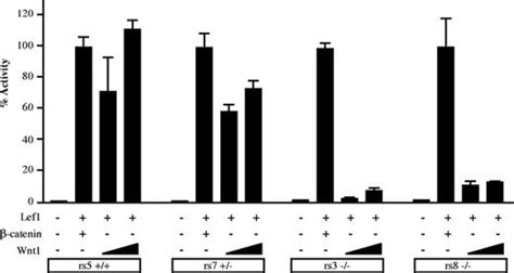 Skeletal Defects In Ringelschwanz Mutant Mice Reveal That Lrp6 Is