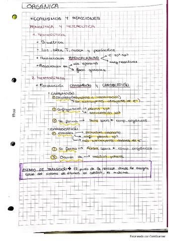 TEMA 4 Organica Resumen Pdf