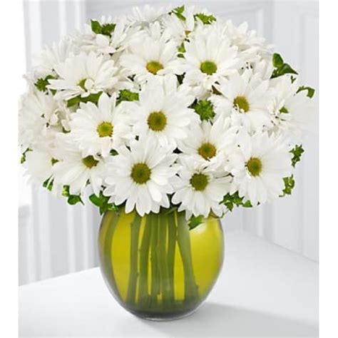 Easter Daisy Vase Suellen S Floral Company