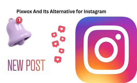 Pixwox: Your All-in-One Toolbox for Instagram Mastery - Wpolityce Your ...