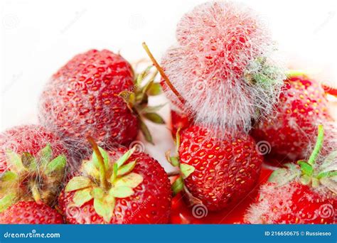 Strawberry With Mold Stock Image Image Of Natural Dessert 216650675