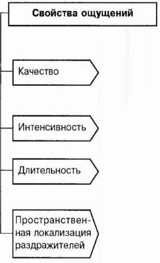 Общие свойства ощущений