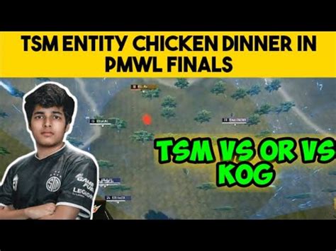 TSM ENTITY CHICKEN DINNER IN PMWL LEAGUE FINALS TSM ENTITY DOMINATING