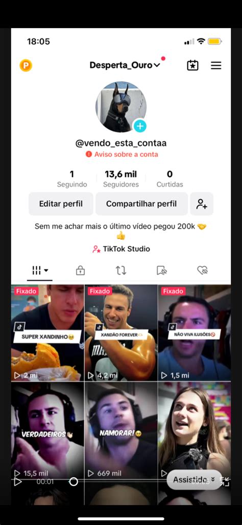 Conta De Tik Tok Monetizada K Seguidores Curtidas Alpha