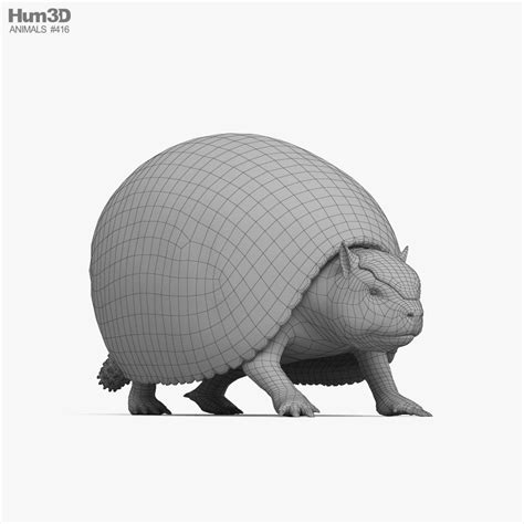 Glyptodon 3d Model Download Dinosaur On