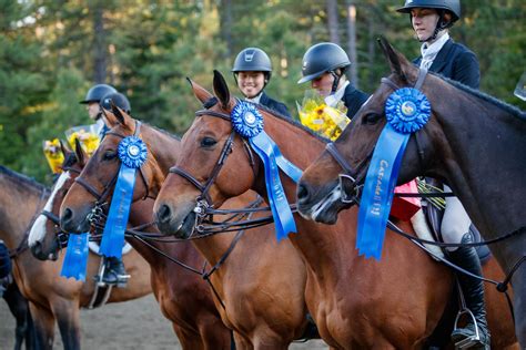 Announcing Our 2023 Season With Something New Cascade Horse Shows