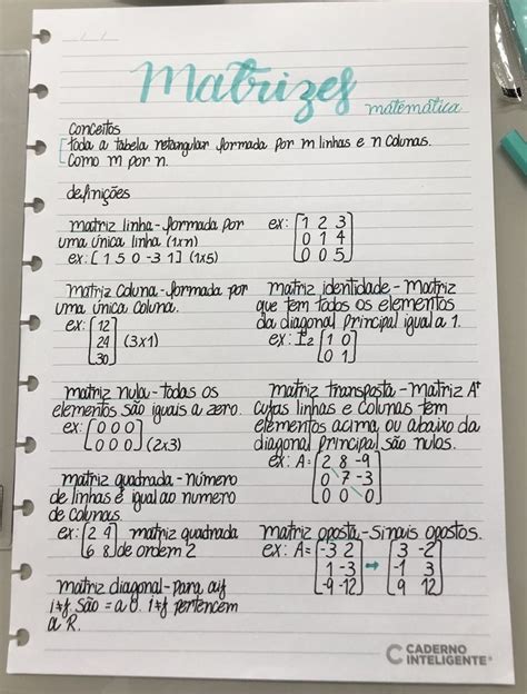 Matrizes Planejador De Estudo Ensino De Matem Tica M Todos De Ensino