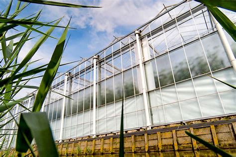 Poolse Uitzendkracht Eist Ziekengeld Vanuit Polen Groenten Fruit