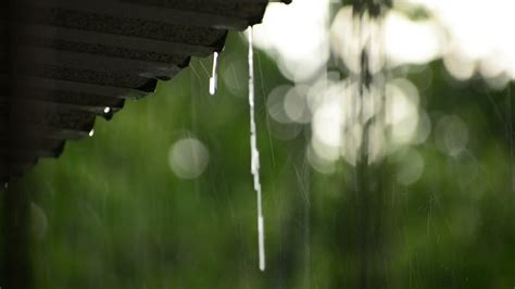 Gentle Rain Sounds To Sleep Instantly Rain Sounds For Sleeping