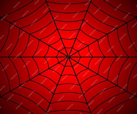 Premium Vector | Spider web illustration Vector cobweb Template for ...