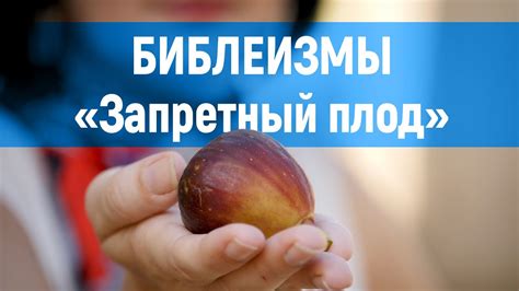 Запретный плод - YouTube