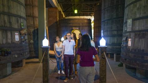 Tour Uva e Vinho Trem Maria Fumaça Vinícola Almoço em Cantina