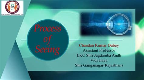 Process Of Seeing Pdf Ppt
