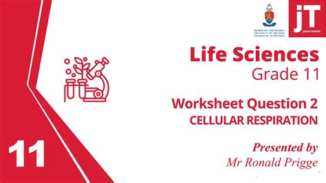 5 Gr 11 Life Sciences Cellular Respiration Worksheet Question 2