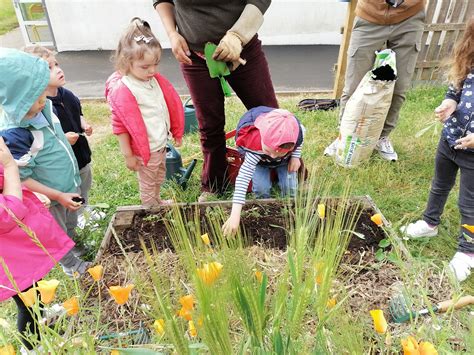 Plantations En Maternelle Ecole Notre Dame De Bon Secours PLONEOUR