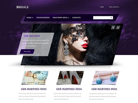bigsale  wordpress theme