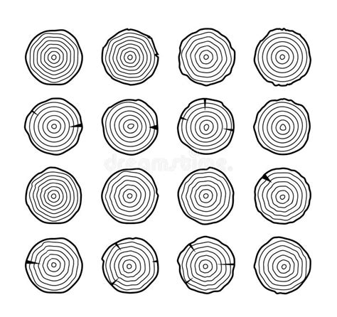 Tree Growth Rings Wood Trunk Vector Annual Organic Stump Tree Circle