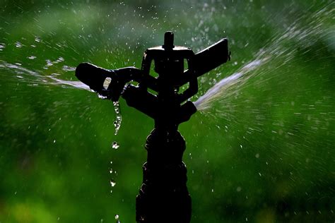 Ways To Fix Common Irrigation Problems In Your Garden WaysTo