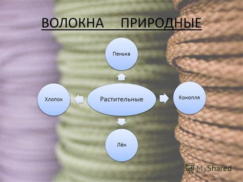 Презентация на тему: "Волокно Определение волокна Волокно́ тонкая ...