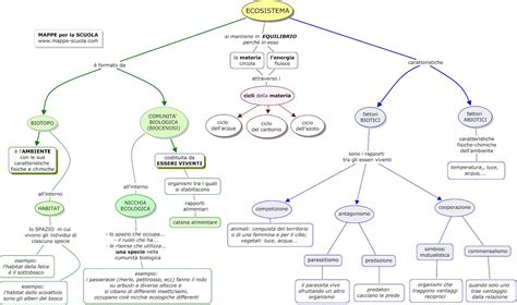 Mappa Concettuale ECOSISTEMA Materiale Per Scuola Media Materia Scienze